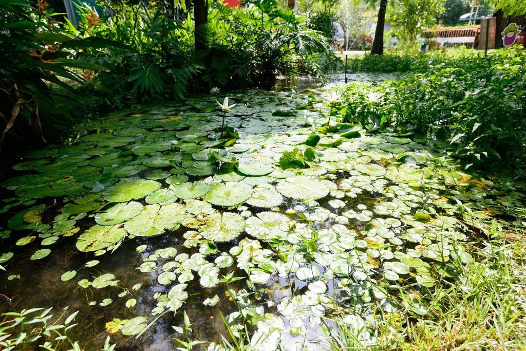Fairy Story Village Farm B&B Дуншань Экстерьер фото